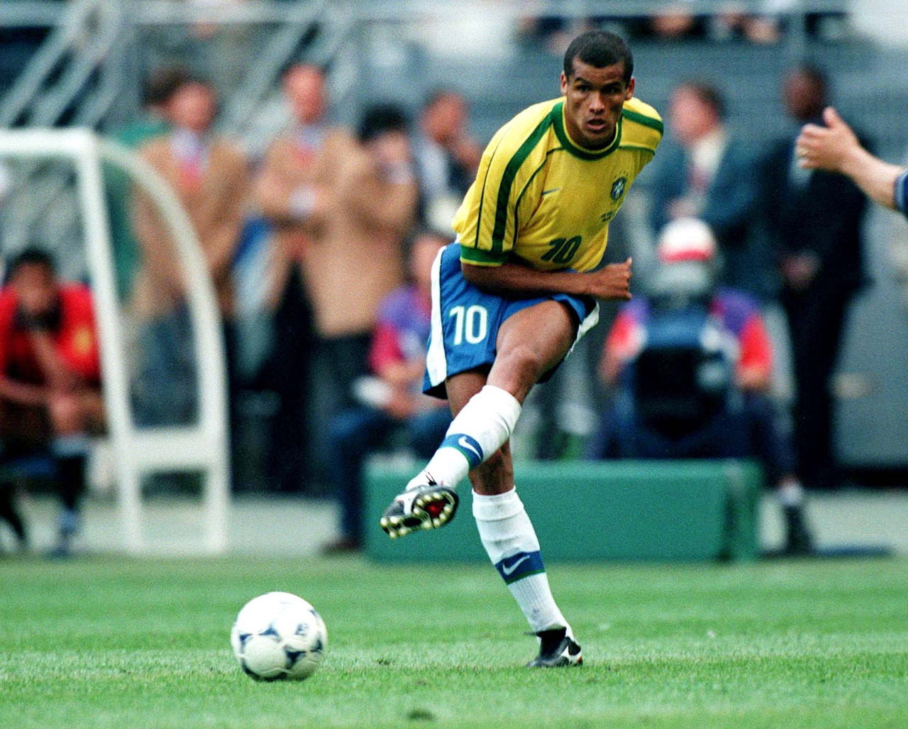 他们要在本 他们要在本