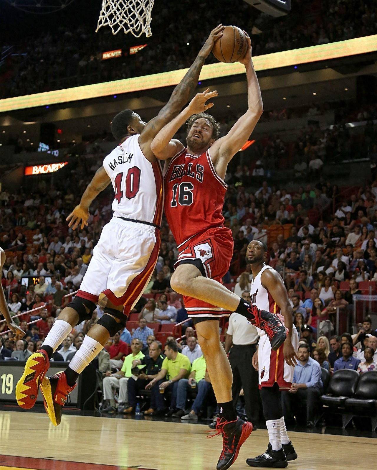 备战骑士 备战骑士