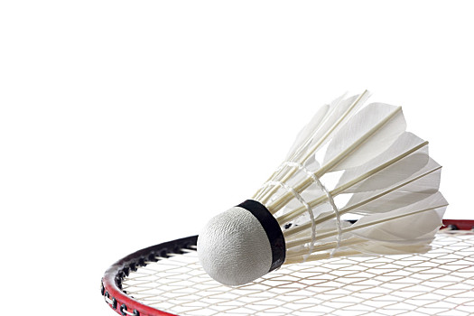 麻也在美职 麻也在美职