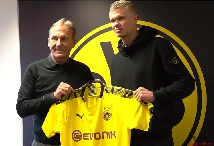 显德尚对多 显德尚对多